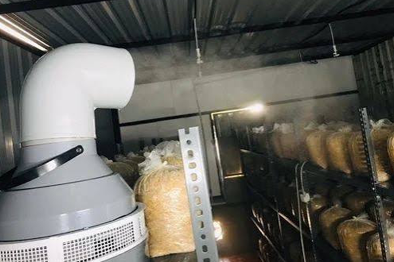 Humidifier System for Mushroom Rooms by Shakti Industries