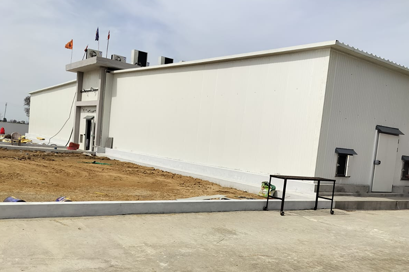 Complete Mushroom Farm Design and Setup by Shakti Industries