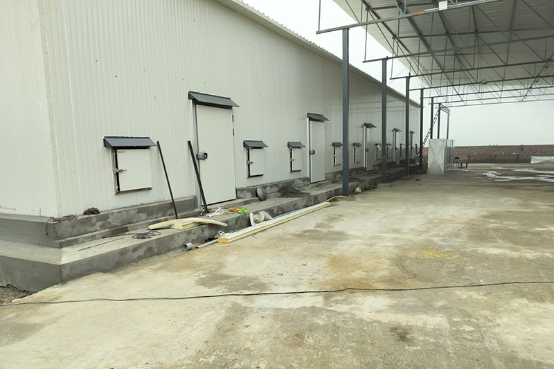 Complete Mushroom Farm Design and Setup by Shakti Industries